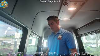 Mobile dog gym - Live stream