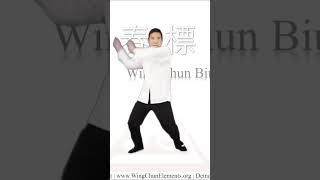 Wing chun Biu Jee