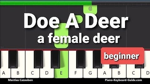 Do Re Mi - The Sound Of Music  - Beginner Piano Tutorial