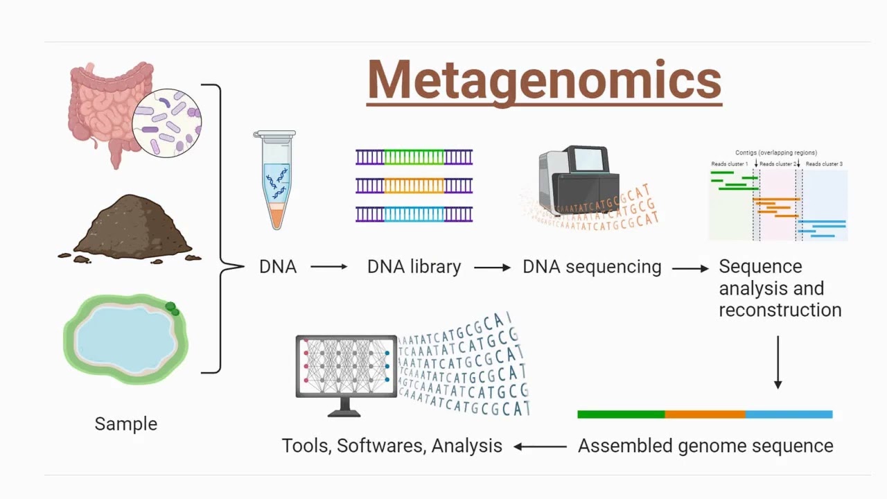 Introduction to metagenomics