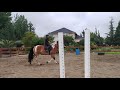 Pumba trot
