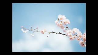 #القارئ صالح بن سالم الصاهود #سورة AlAsr العصر #Reciter Saleh Alsahood #Surah