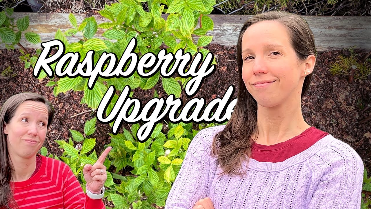 Building a raspberry trellis youtube