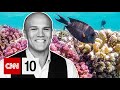 Coral Conservation and Environmental Awareness