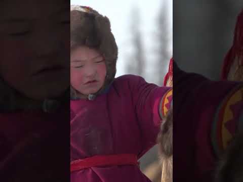 🤔 Как учатся дети в тундре #ямал #крайнийсевер #интересно