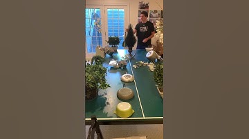 Best TikTok Trickshot challenge | task failed successfully - vidéo 06 #shorts