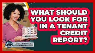 What Should You Look For In A Tenant Credit Report?