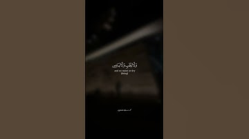 وَمَا تَسۡقُطُ مِن وَرَقَةٍ إِلَّا یَعۡلَمُهَا🌿|  القارئ محمد صديق المنشاوي 🌿.