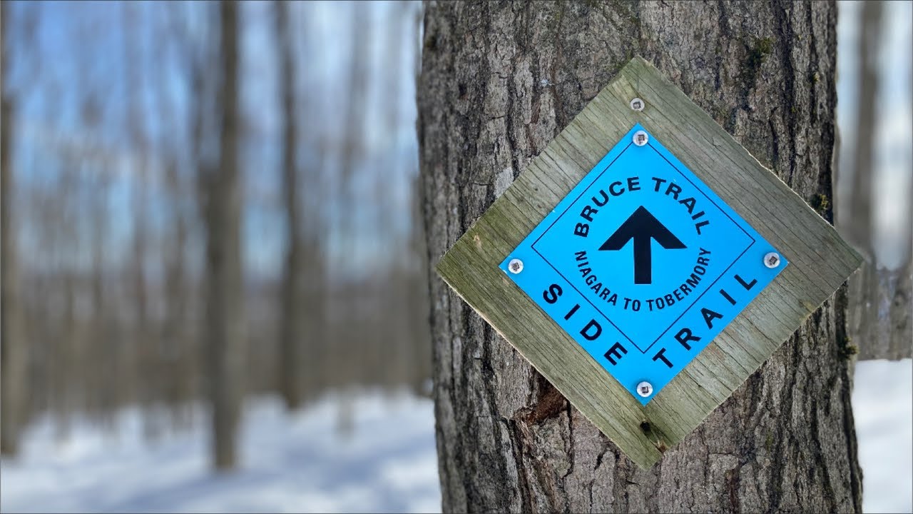 PRETTY RIVER VALLEY PHOTO HIKE   ON THE BRUCE TRAIL