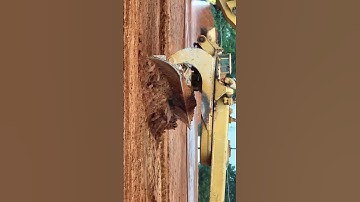 Motor Grading doing some final trimming! 🤗🤗