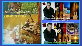 Lo mejor de ANTONIO BRIBIESCA La Guitarra que llora (Guitarra de Florian Stollmayer Mexican Guitar) screenshot 3