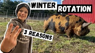 Top 3 Reasons We Rotate Pigs in the Winter!