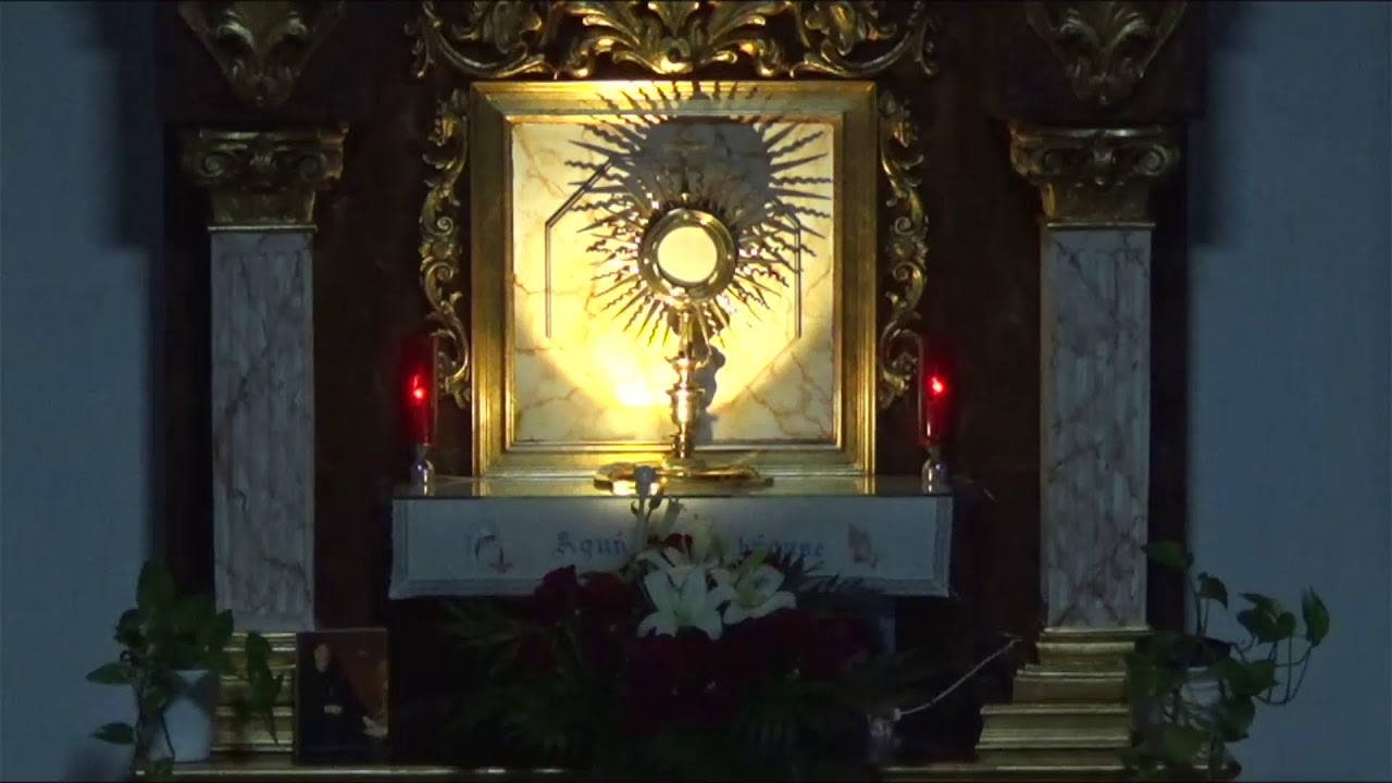ADORACIÓN EUCARÍSTICA PERPETUA
