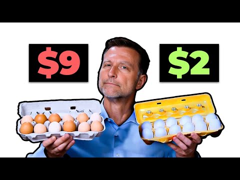 Are Expensive Eggs Really Worth It?