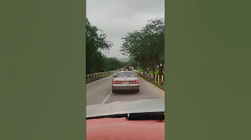 حان السفر ياهل الوفاء حان نادر الشراري خريف صلالة ظفار 