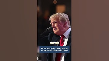 Thỏa Thuận Thương Mại Mỹ EU: Chi Tiết, Cam Kết và Tác Động