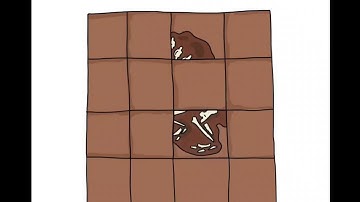 brainout 🧠 crazyfind। Level 52। greatest finding। @Raratewa.