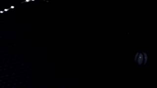 これ ハクビシンの鳴き声 夜中のうるさい声の正体を動画で見極める 害獣お助け本舗