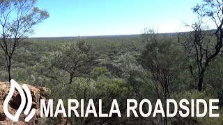 Mariala Roadside Camping Area - Mariala National Park, Queensland by Live2Camp 422 views 1 year ago 1 minute, 36 seconds
