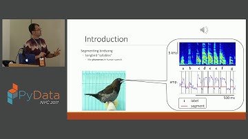 David Nicholson and Yarden Cohen - Neural Networks for Segmentation of Vocalizations