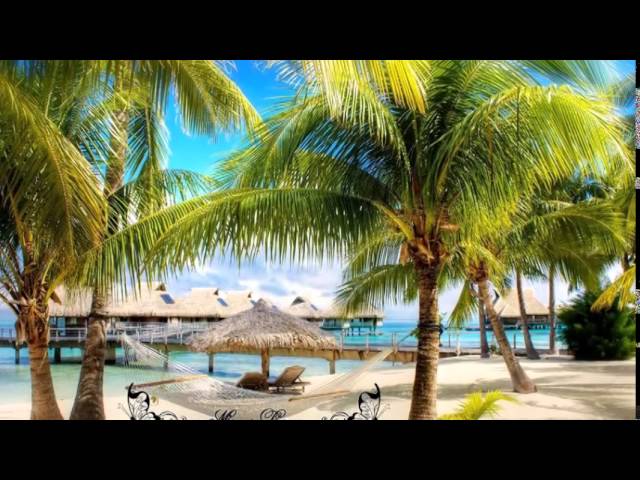 Mira Alex Catherine Do en YouTube Mira Alex Catherine Do en YouTube
