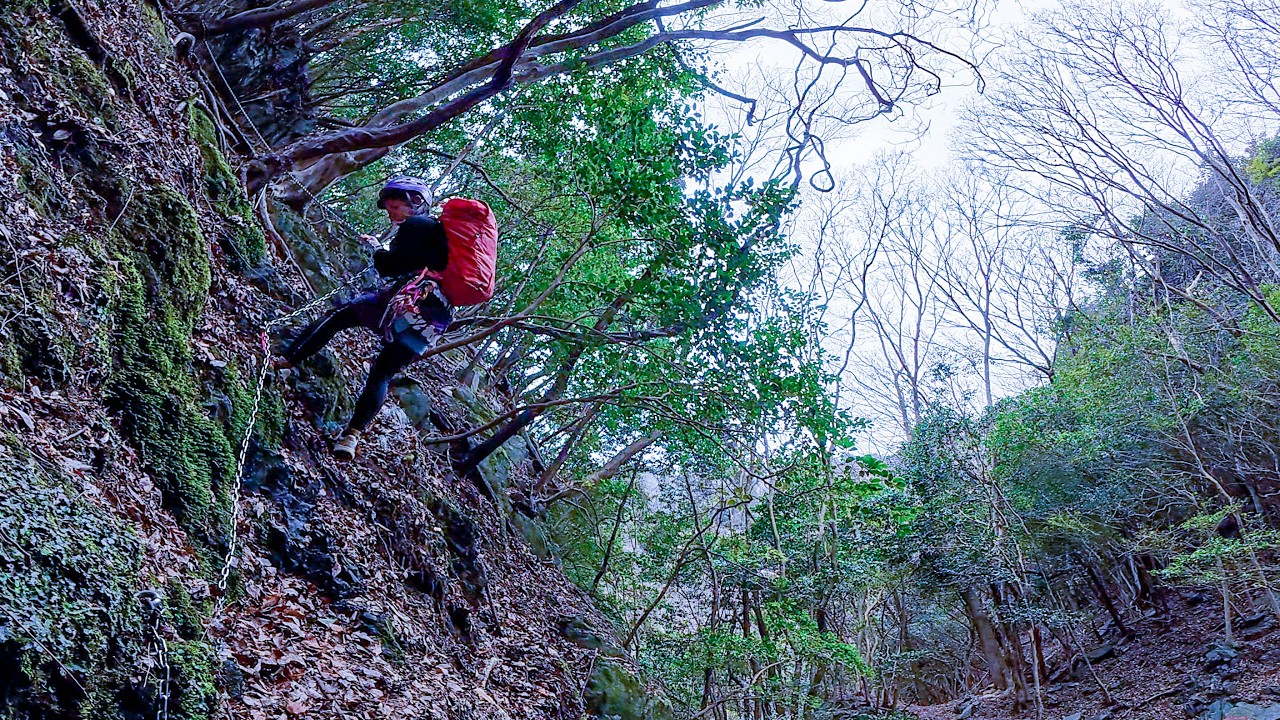 丸ごと山行2時間【椿大神社〜小岐須渓谷キャンプ場】入道ヶ岳の登山ルートから沢見学してきた@三重県・鈴鹿市