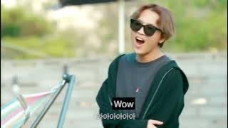 haechan singing bambi more times than baekhyun