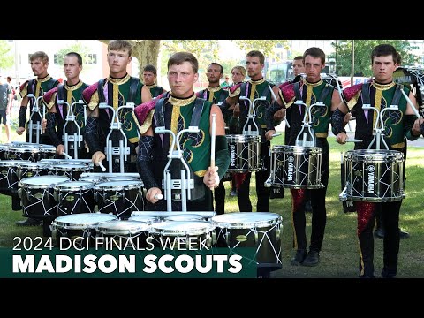Madison Scouts 2024 | In The Park - DCI Finals Week - SHOW MUSIC