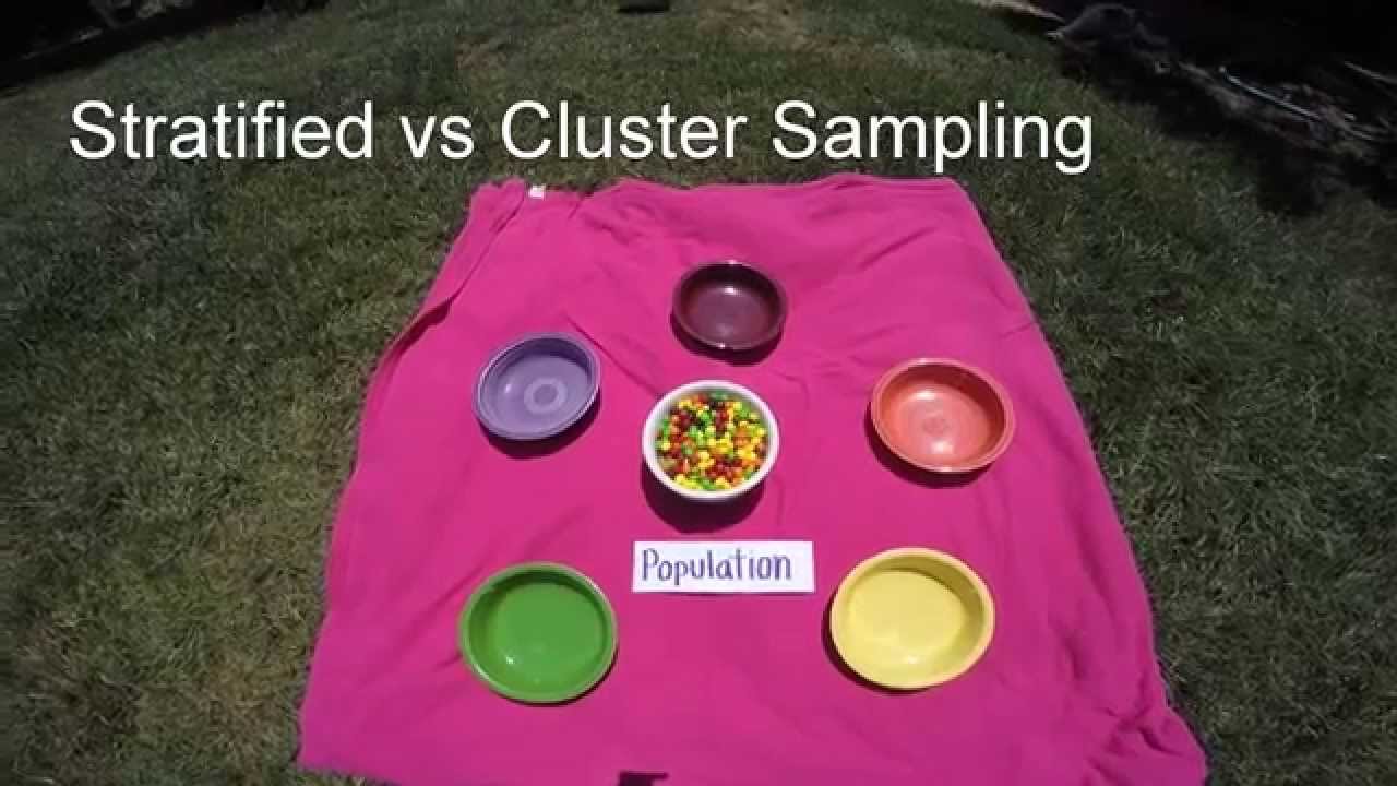 Stratified v Cluster Sampling YouTube