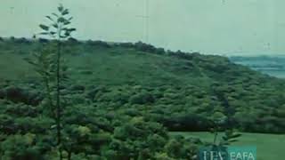 Barton Le Clay - 1950 - 1960s