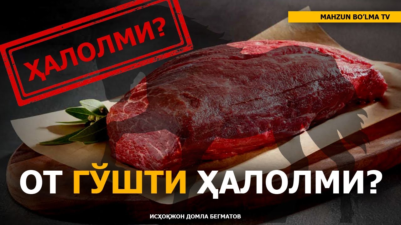 Juicy eshaklar it uslubida video Juicy eshaklar it uslubida video