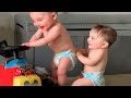 Check It Now! Funniest Babies and Sibling Playing |Funny Babies Video