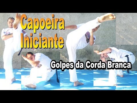 Vídeo: Melhores Exercícios Básicos: Os 10 Principais Movimentos, Do Iniciante Ao Avançado