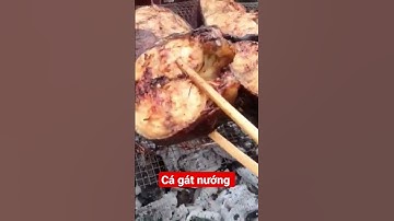 Cá Ngát Nướng