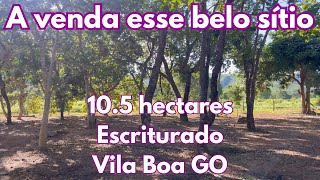 A venda esse belo sítio de 10.5 hectares - Escriturado - Vila Boa GO