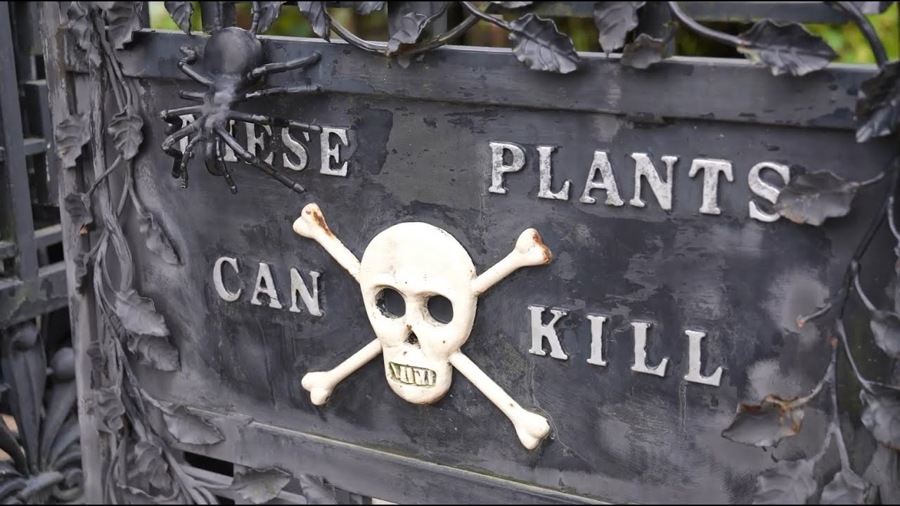 Beware! Top 20 Deadly Plants