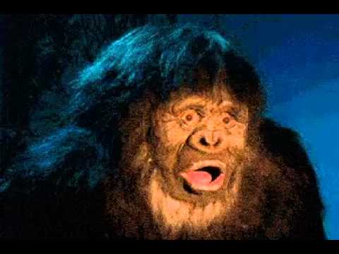 Die gekke aap - YouTube