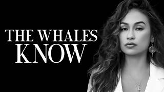 Bitcoin Whales Know What’s Coming