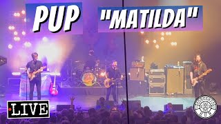 PUP &quot;Matilda&quot; LIVE