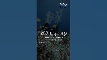 تلاوه خاشعه من #القرآن_الكريم #الأية 125-128 من سورة النحل #اكسبلور #وهاج #MrWahaj