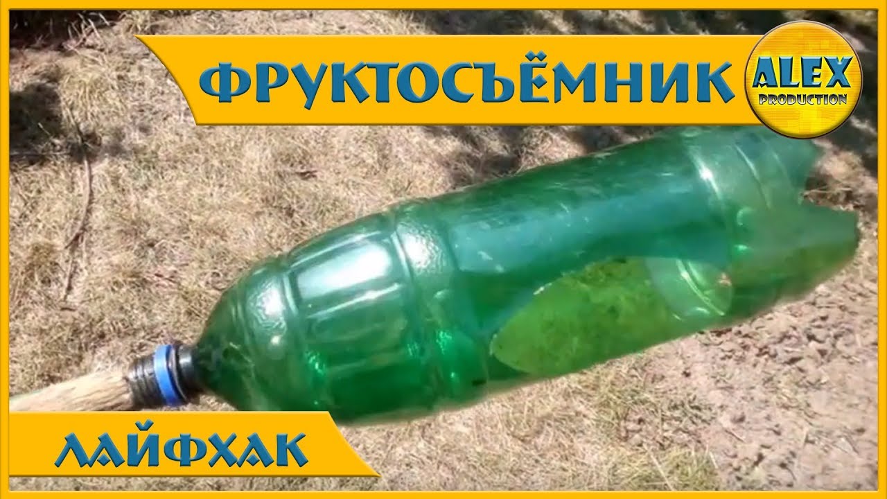 Генератор случайных фруктов
