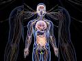 How the Human Brain Works (Simple Explanation) #facts #science #shorts