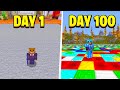 I Survived 100 Days in A Minecraft PRISON (Here's What Happened)