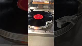 IMG 6334