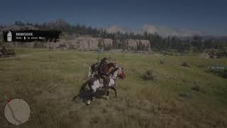 Red Dead Online...Just a short one