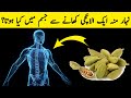 Health benefits of eating green cardamom on empty stomach  ilm ki baat