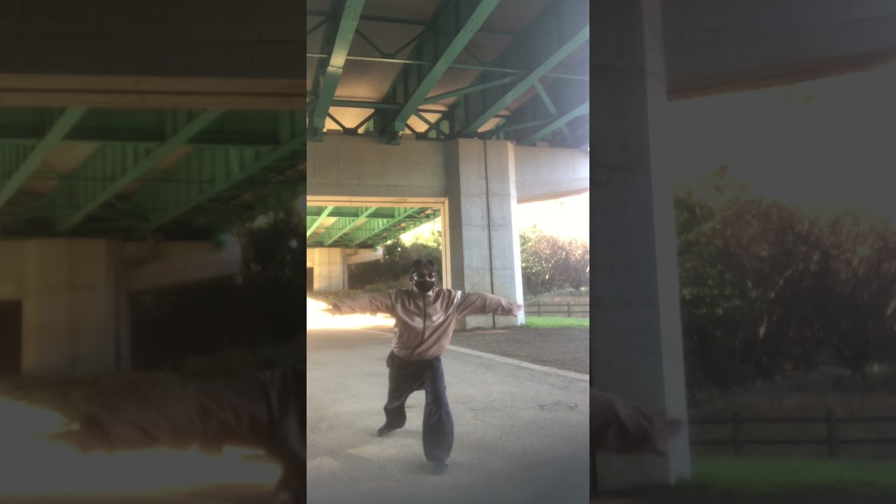 応手拳(八路)
