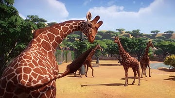 Planet Zoo - Beta First Look