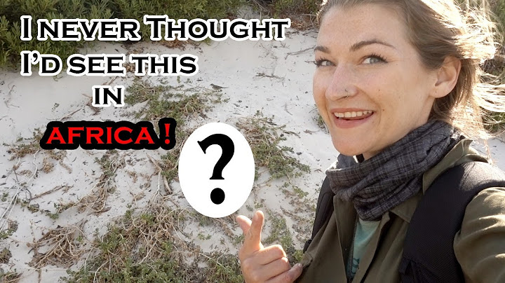 My first Adventure on the Yamaha in South Africa- The Cape Peninsula and Simons Town