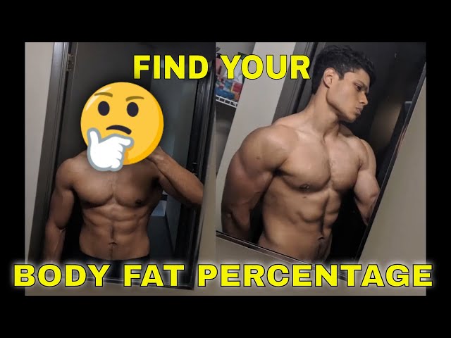 Understanding Body Fat Percentages for Women: A Visual Guide